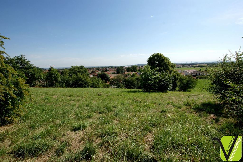 Terrain GENAS 595000€ Valentino Immobilier Terrain GENAS 595000€ Valentino Immobilier