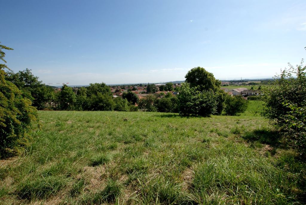 Terrain GENAS 2290000€ Valentino Immobilier